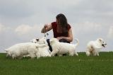 ADULTE ET CHIEN 157